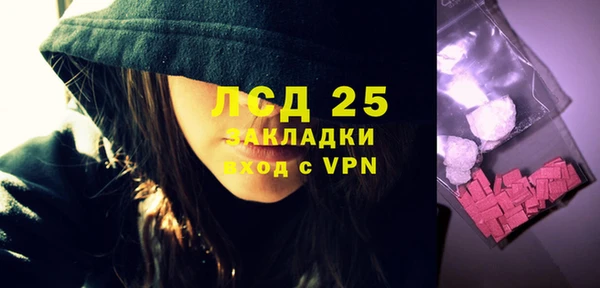 гидра Абаза