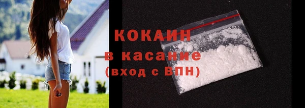 гидра Абаза