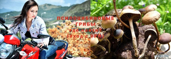гидра Абаза