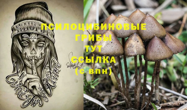гидра Абаза