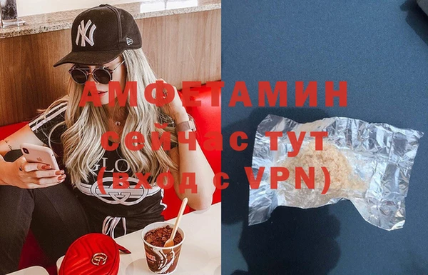 гидра Абаза